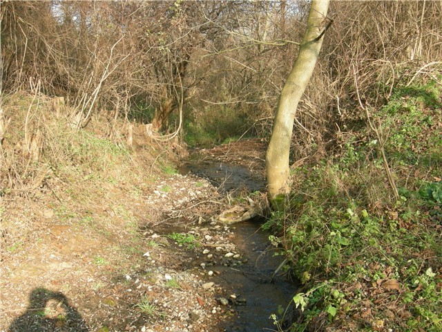 arčilend